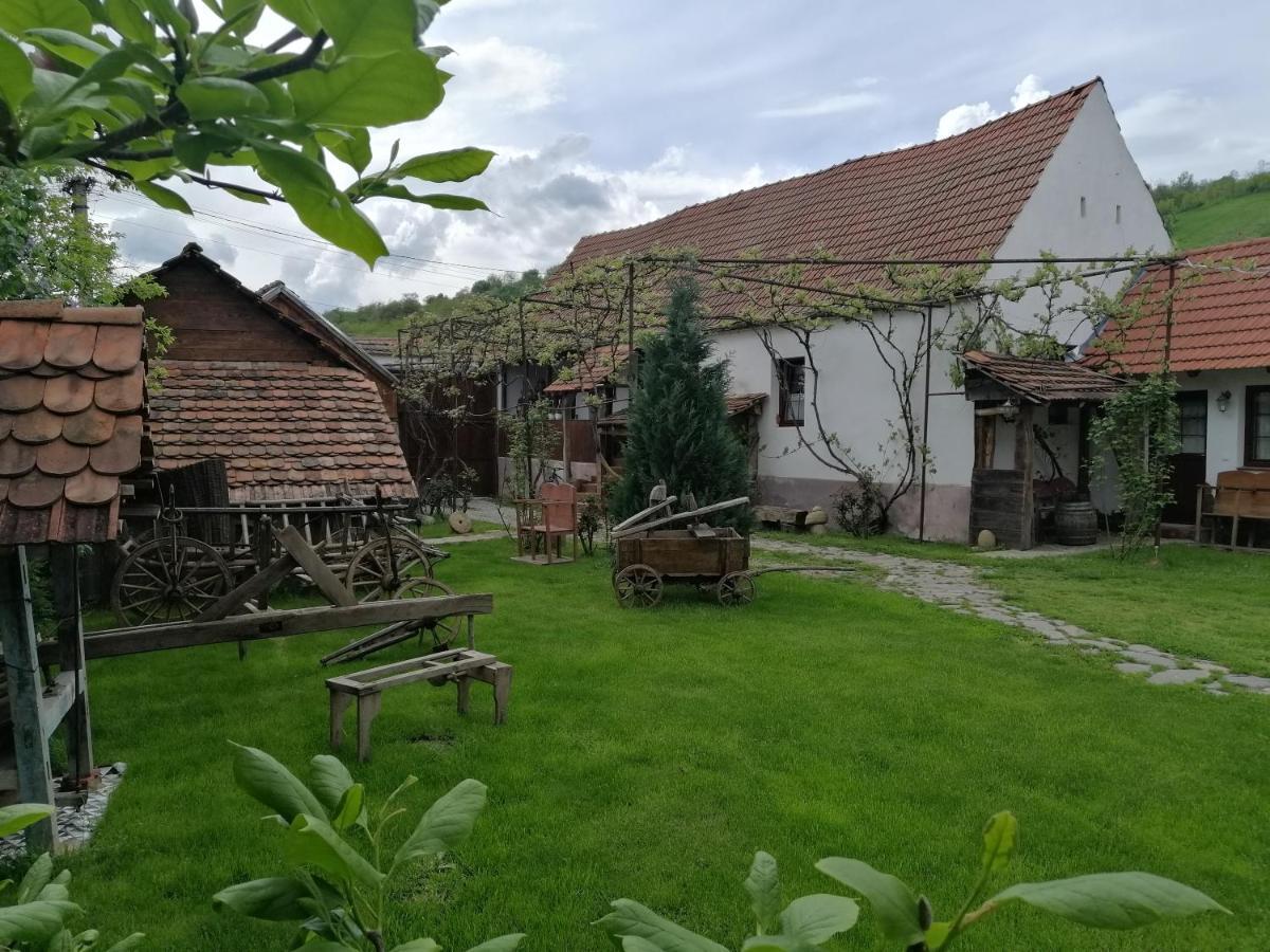 Casa Traditionala Transilvaneana Rucar  Zewnętrze zdjęcie
