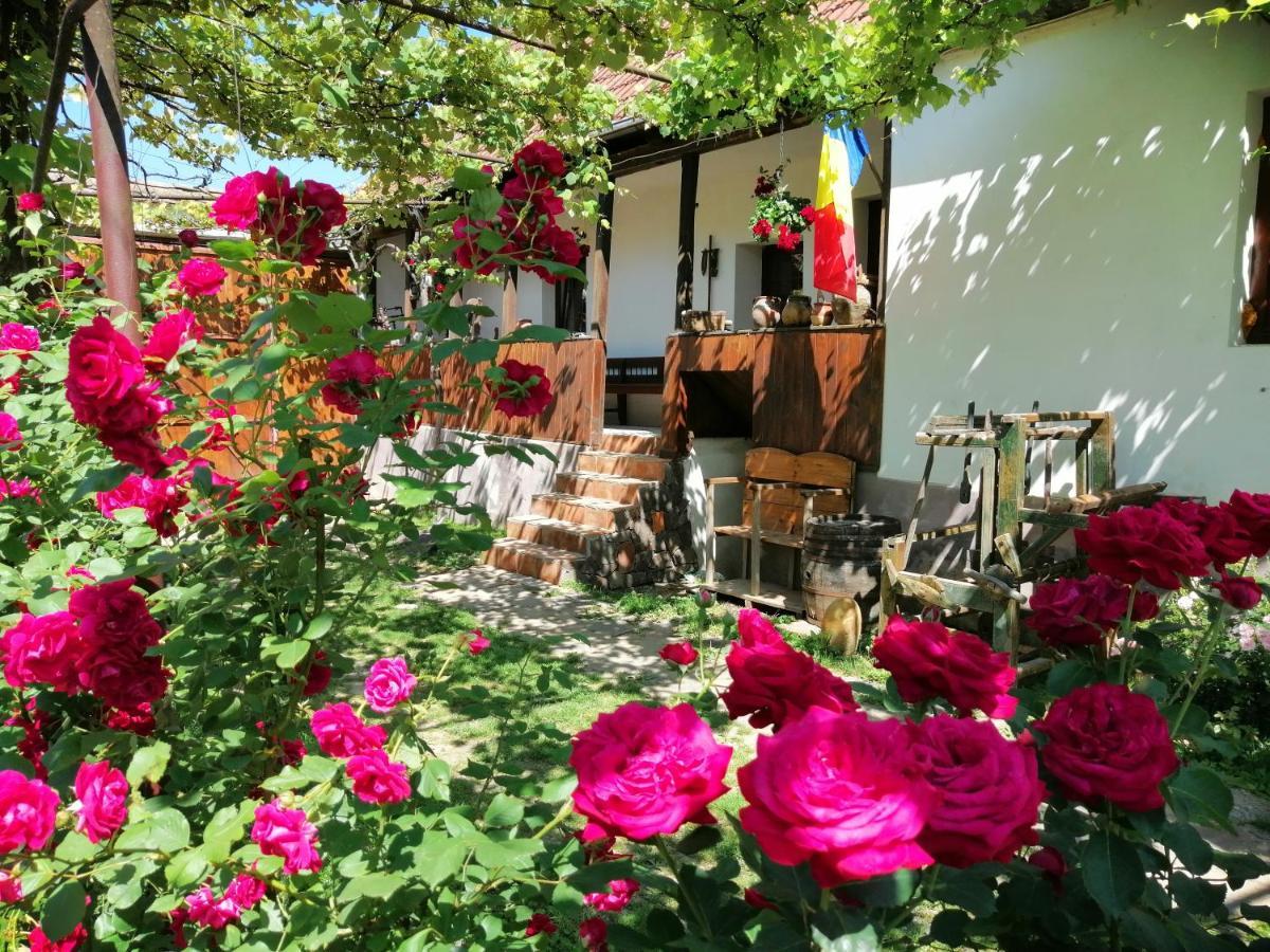 Casa Traditionala Transilvaneana Rucar  Zewnętrze zdjęcie