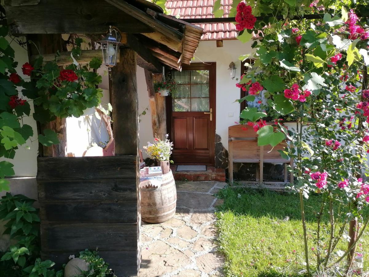 Hotel Casa Traditionala Transilvaneana Rucar  Zewnętrze zdjęcie