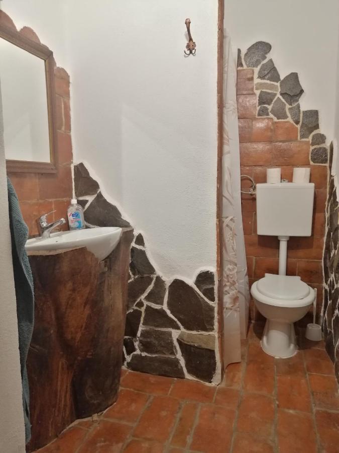 Casa Traditionala Transilvaneana Rucar  Zewnętrze zdjęcie