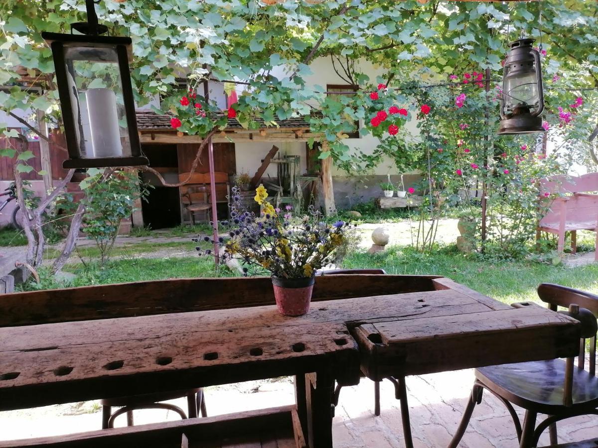 Casa Traditionala Transilvaneana Rucar  Zewnętrze zdjęcie