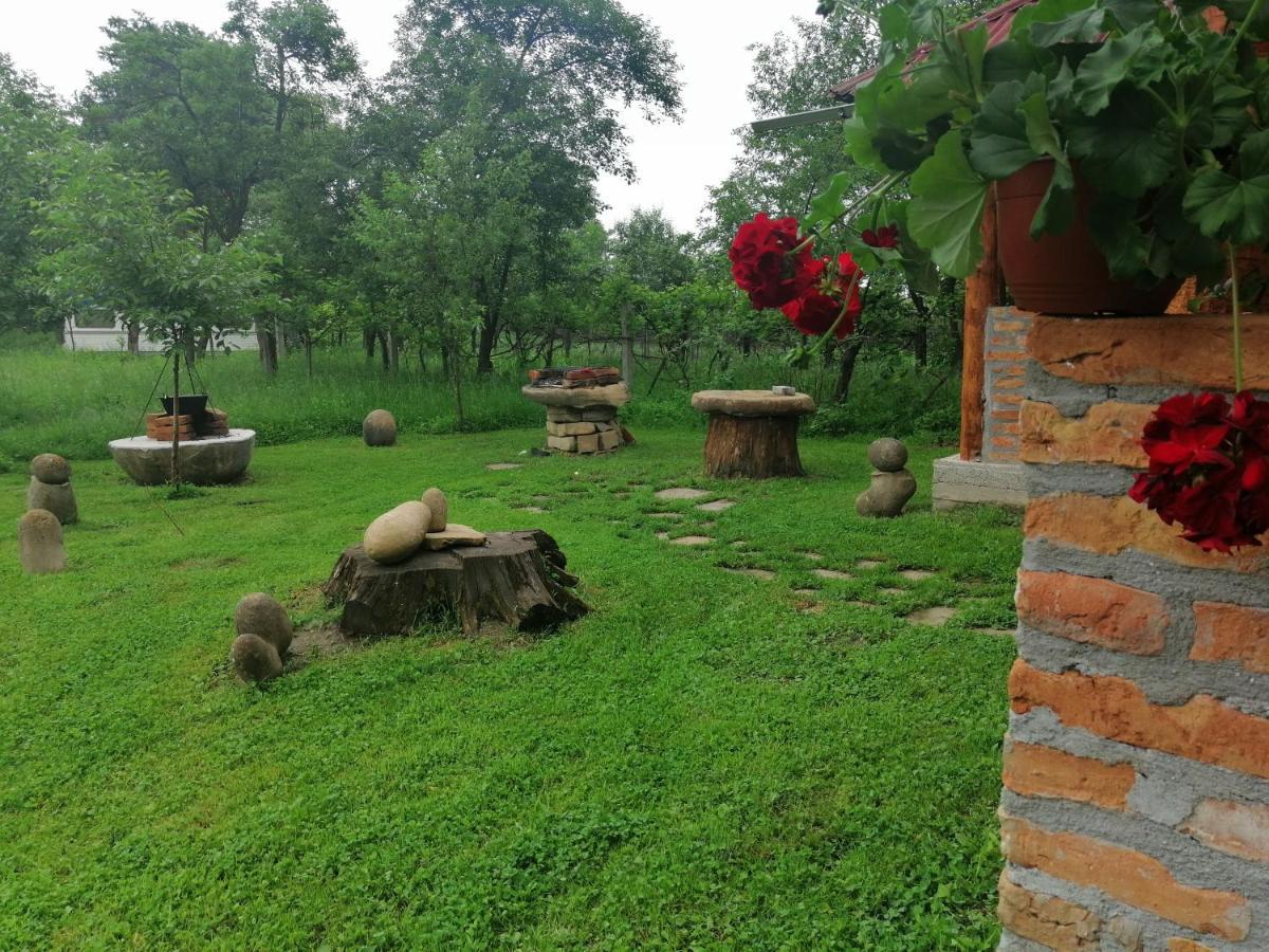 Casa Traditionala Transilvaneana Rucar  Zewnętrze zdjęcie
