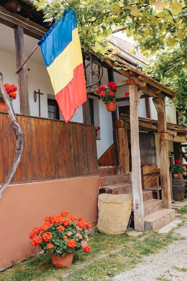 Casa Traditionala Transilvaneana Rucar  Zewnętrze zdjęcie
