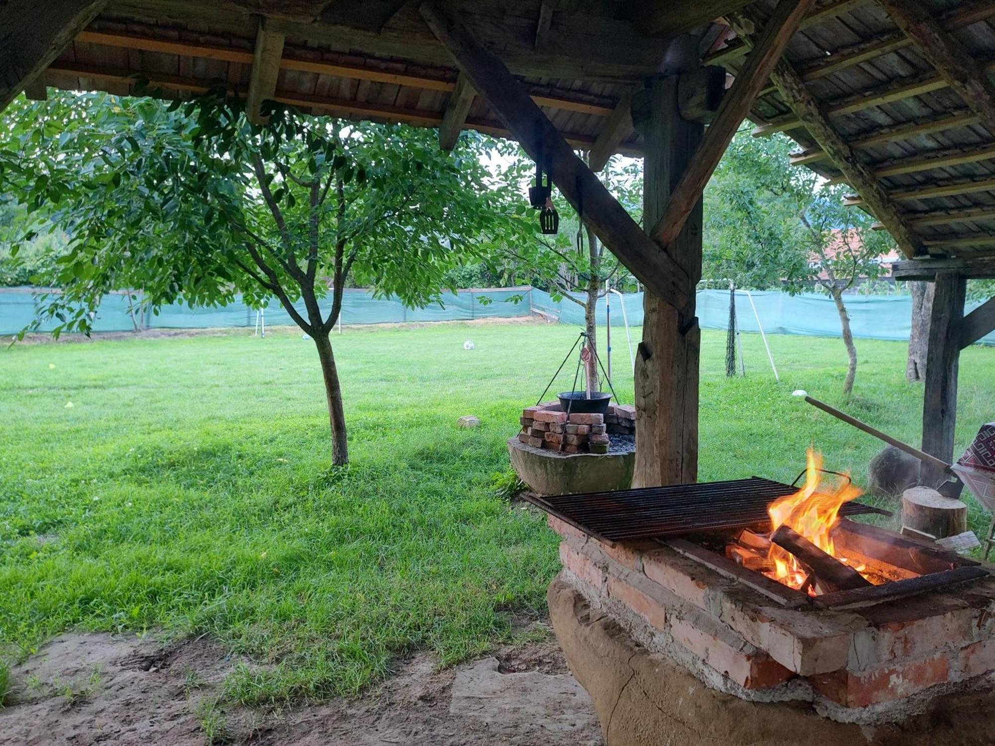 Casa Traditionala Transilvaneana Rucar  Zewnętrze zdjęcie